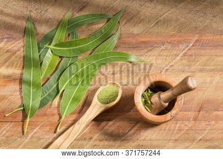 Fresh Eucalyptus Leaves (eucalyptus Globulus) Top View