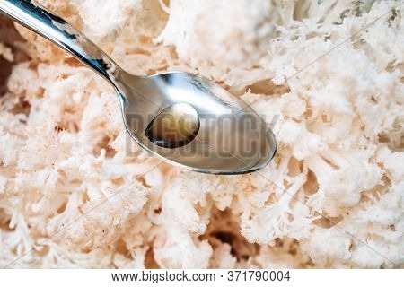 Close Up Of Hericium Erinaceus Or Lions Mane Mushroom And Spoon With Mane Oil .