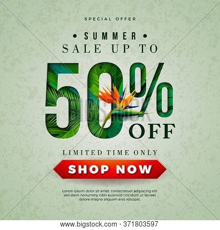 Summer Sale Design With Parrot Flower And Tropical Palm Leaves In Typography Letter On Blue Backgrou
