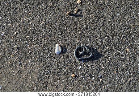 Heart Pattern On The Sand In The Watt