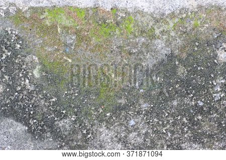 Background Texture: The Surface Of Old Concrete Slab Covered With Moss Or Algae