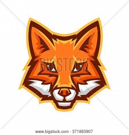 Mascot Stylized Fox Head. Illustration Or Icon Of Wild Animal.
