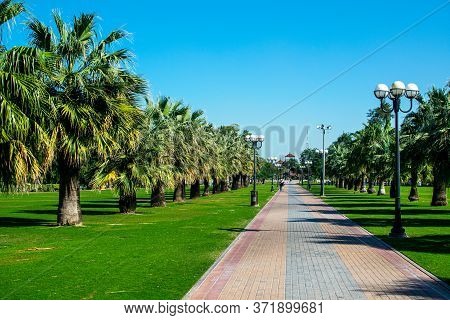 Dubai, United Arab Emirates January 16, 2020: Beautiful View Of Al Mamzar Beach Dubai, Leisure Park.