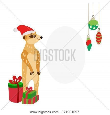 Cute Meerkat Wearing Santa Hat With Gifts. Suricata Suricatta Is Ready To Celebrate Christmas Or New