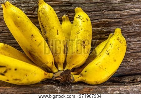Bunch Of Fresh Bananas (musa Sapientum) On Wooden Background