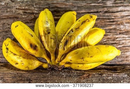 Vine Bunches With Grape Fruits. The Grapevine, Vine Or Vine Is A Vine Of The Vitaceae Family, Grown 