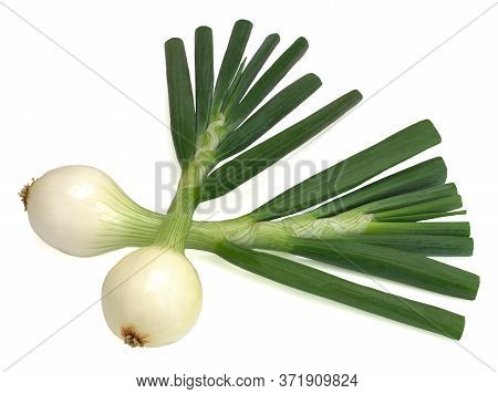 Two Young Napiform Onions Isolated On A White Background