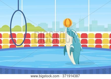 Dolphin Jumping Through Ring, Sea Animal Performing In Dolphinarium Vector Illustration