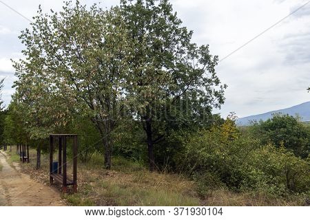 Samuel Fortress, Bulgaria- September 12, 2013: Fortress Of Bulgarian Tsar Samuel Near Village Of Kli
