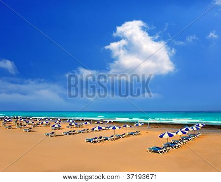 Adeje Arona strand Troya Playa Las Americas in Tenerife zuiden
