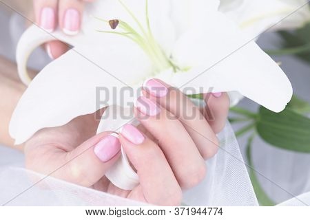 Female Hand With French Manicure With A White Lily On A White Background.