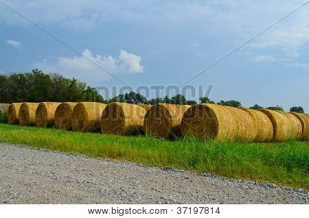 saman bails