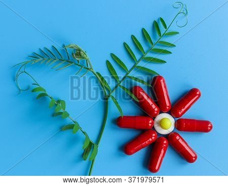 Red Capsules Are Laid Out In The Form Of A Flowering Plant On A Blue Background. To Close. A Concept