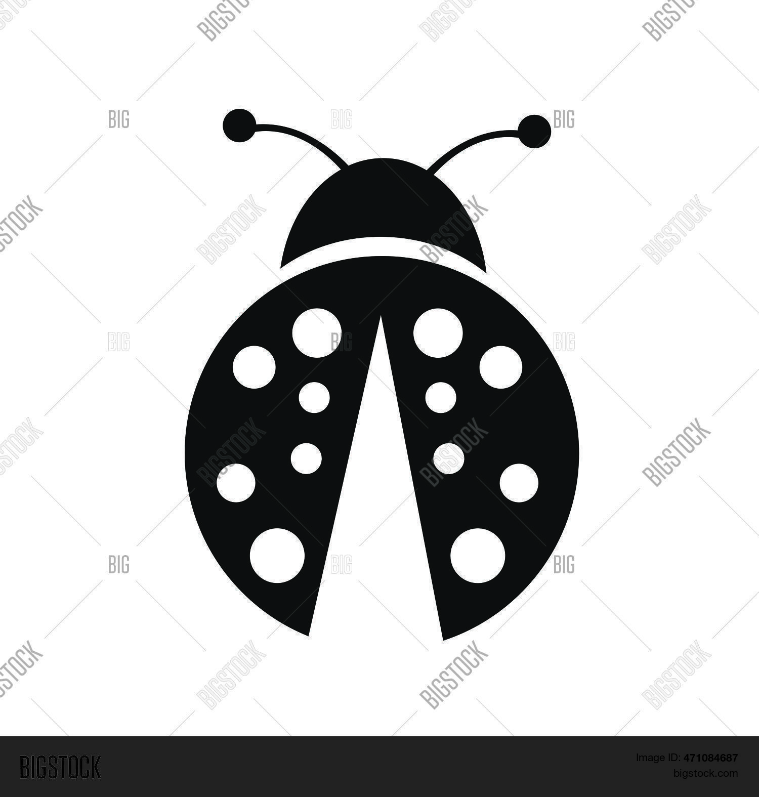 Ladybug Vector Vector & Photo (Free Trial) | Bigstock