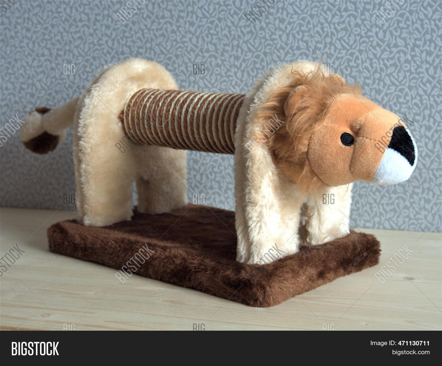 Cats Claw Sharpener Image & Photo (Free Trial) Bigstock