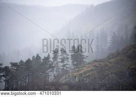 Beautiful Calm Peaceful Winter Landscape Over Thirlmere In Lake District With Fog And Layers Of Tree