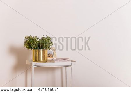 Mini Plant And Book On White Table, Copy Space, Nobody, Tree In Golden Pot For Decoration In Home, W