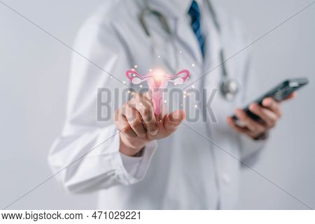 Doctor In A White Coat Touching Virtual Uterus Reproductive System , Woman Health, Pcos, Ovary Gynec