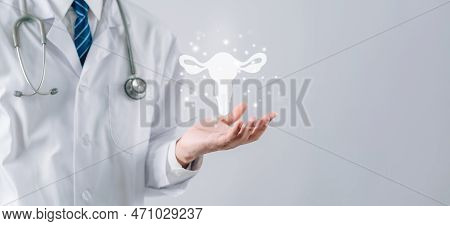 Doctor In A White Coat Holding Virtual Uterus Reproductive System , Woman Health, Pcos, Ovary Gyneco