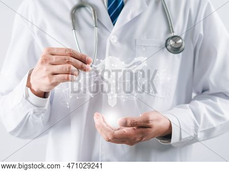 Doctor In A White Coat Holding Virtual Uterus Reproductive System , Woman Health, Pcos, Ovary Gyneco
