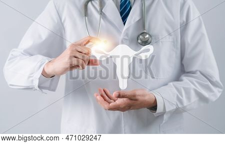Doctor In A White Coat Holding Virtual Uterus Reproductive System , Woman Health, Pcos, Ovary Gyneco
