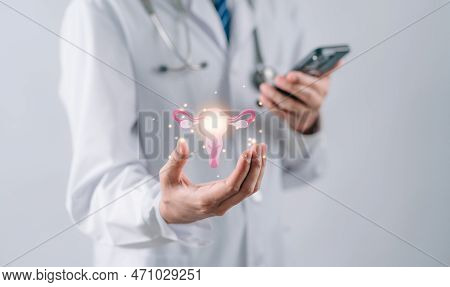 Doctor In A White Coat Holding Virtual Uterus Reproductive System , Woman Health, Pcos, Ovary Gyneco