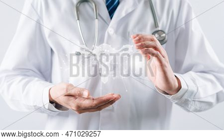 Doctor In A White Coat Holding Virtual Uterus Reproductive System , Woman Health, Pcos, Ovary Gyneco