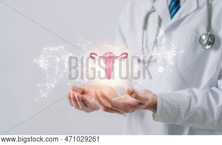 Doctor In A White Coat Holding Virtual Uterus Reproductive System , Woman Health, Pcos, Ovary Gyneco