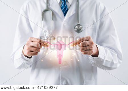 Doctor In A White Coat Holding Virtual Uterus Reproductive System , Woman Health, Pcos, Ovary Gyneco
