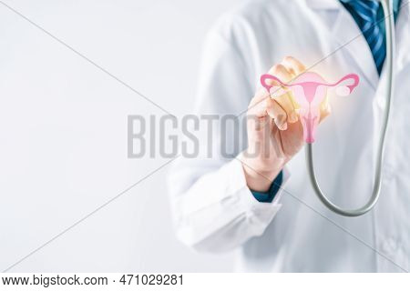 Doctor In A White Coat Holding Virtual Uterus Reproductive System , Woman Health, Pcos, Ovary Gyneco