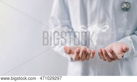 Doctor In A White Coat Holding Virtual Uterus Reproductive System , Woman Health, Pcos, Ovary Gyneco