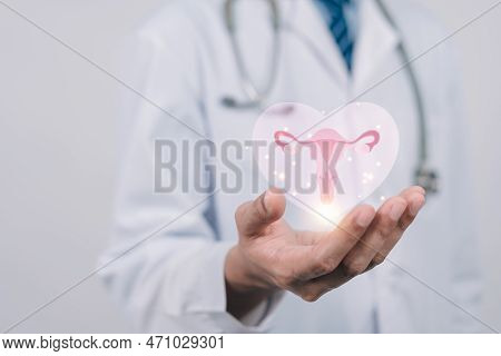 Doctor In A White Coat Holding Virtual Uterus Reproductive System , Woman Health, Pcos, Ovary Gyneco