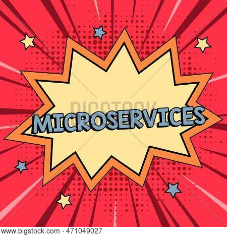 Conceptual Display Microservices. Conceptual Photo Software Development Technique Building Single Fu