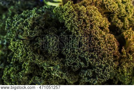 Curly Kale For Sale At Jack London Square