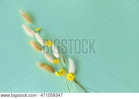 Spring Flower. Nice Lagurus On Blue Background.
