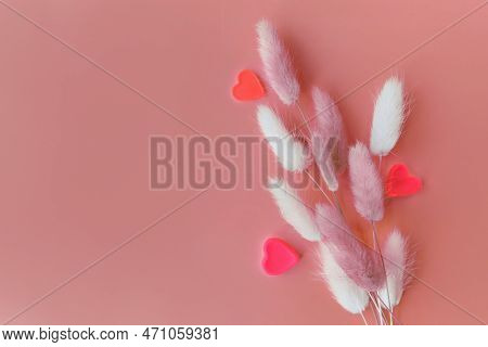 Nice Lagurus On Pink Spring Background. Flower With Hearts