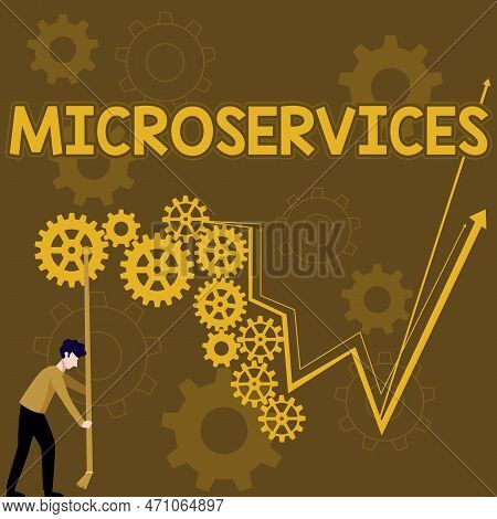 Hand Writing Sign Microservices. Business Showcase Software Development Technique Building Single Fu