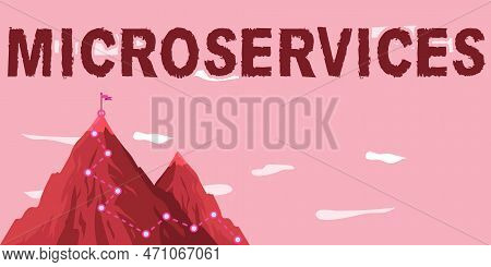 Conceptual Display Microservices. Business Idea Software Development Technique Building Single Funct