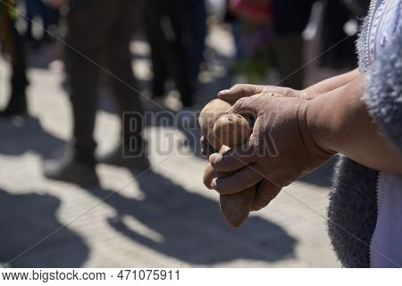Hands Of An Unrecognizable Woman Holding A Handful Of Organic Agroecological Potatoes Outdoors.