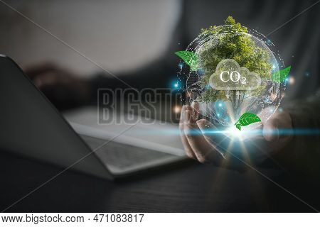 Energy Consumption And Co2 Emissions Are Increasing, Renewable Energy Based Green Businesses Can Lim