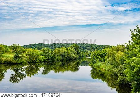 Beautiful Grass Swamp Reed Growing On Shore Reservoir In Countryside