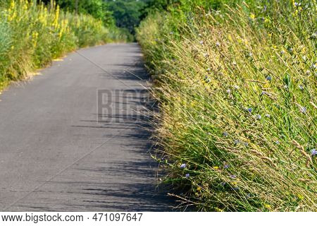 Beautiful Empty Asphalt Road In Countryside On Colored Background