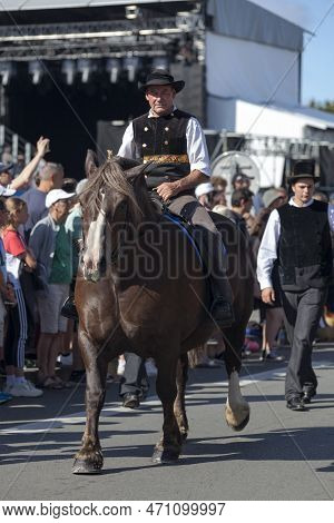 Quimper, France - July 24 2022: Rider In Traditional Breton Dress Riding A Trait Breton During The C