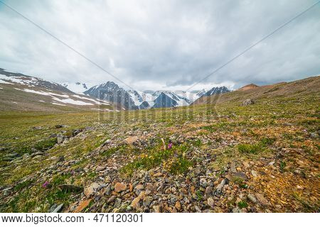 Scenic Panoramic View From Sunlit Green Grassy Hill To High Snowy Mountain Range With Sharp Tops And
