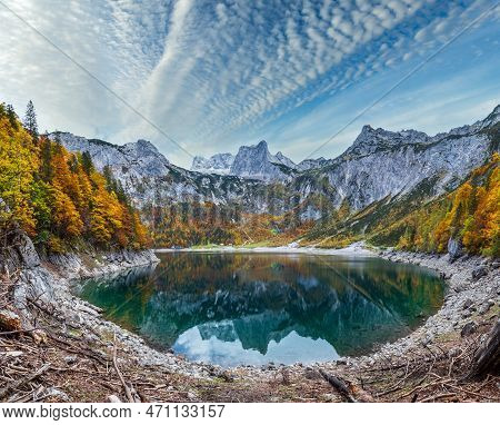 Tree Stumps After Deforestation Near Hinterer Gosausee Lake, Upper Austria. Colorful Autumn Alpine M