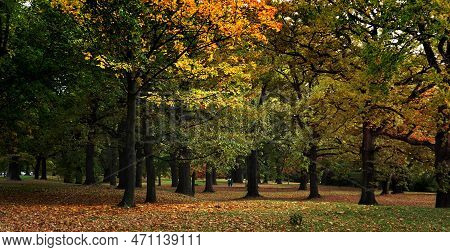 Seasonal Changes Downunder. Hagley Park Christchurch New Zealand