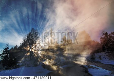 A Image Of Steam Shadow At Dryad Spring