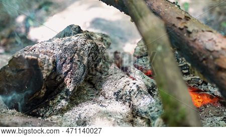 Firebrands Are Smouldering In The Fire. High Quality Photo