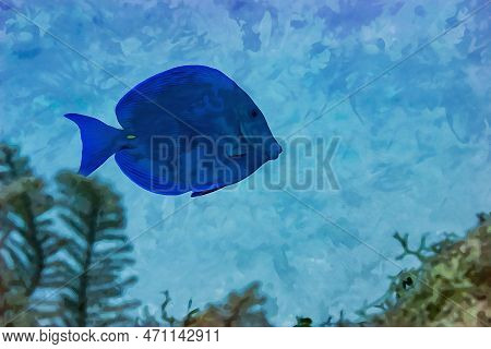 Digitally Created Watercolor Painting Of Blue Tang Surgeonfish Acanthurus Coeruleus Swimming Over A 