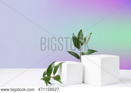 Cosmetic Gradient Background With Geometric Shapes And A Ruskus Branch. Two Cubic Podiums. Mockup Fo